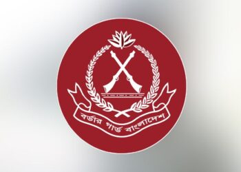 শেরপুর সীমান্তে ভারতীয় গরুর মাংস জব্দ