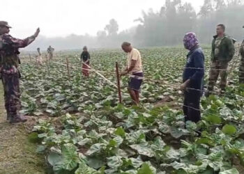 কাঁটাতারের বেড়া ঘিরে দহগ্রাম সীমান্তে ফের উত্তেজনা