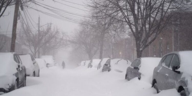 বছরের প্রথম তুষার ঝড়ের কবলে নিউইয়র্ক