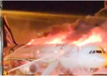 দক্ষিণ কোরিয়ায় বিমানবন্দরে যাত্রীবাহী বিমানে আগুন