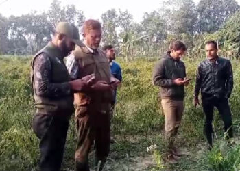 ভুট্টাখেতে বিষ প্রয়োগে বন্যপ্রাণী হত্যা