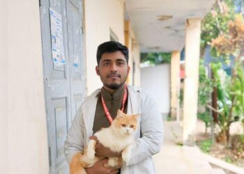 বিড়াল প্রেমীদের জন্য সতর্কবার্তা : প্যারাসিটামল হতে পারে প্রাণঘাতী!