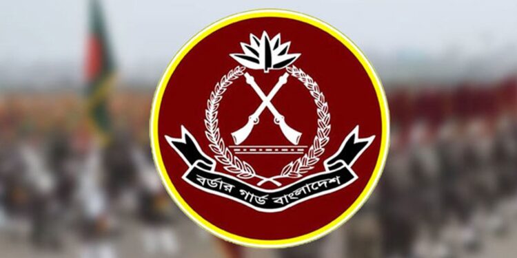 বিজিবিতে সিপাহি পদে চাকরির সুযোগ