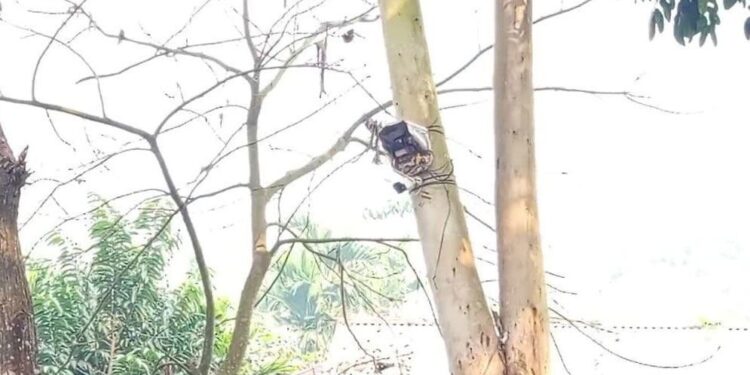 সীমান্ত থেকে সিসিটিভি ক্যামেরা সরিয়ে নিল বিএসএফ