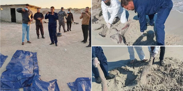 ভূমধ্যসাগরে প্রাণহানী, ২০ মরদেহ লিবিয়া উপকূলে সমাহিত