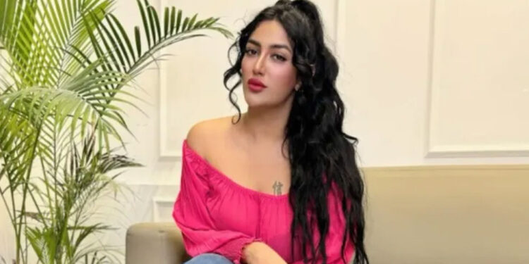 পাকিস্তানি অভিনেত্রীর ভিডিও ফাঁস