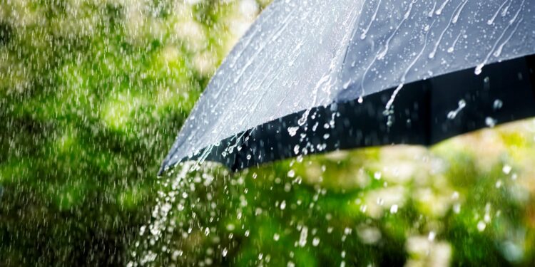 টানা ৩ দিন বৃষ্টির আভাস, হতে পারে যেসব জেলায়