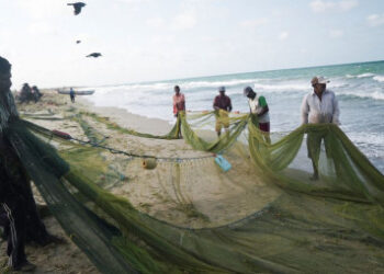 শ্রীলঙ্কার সাগর ‘মাছশূন্য’ করছে ভারতীয়রা