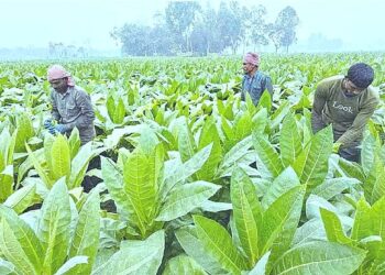 জনস্বাস্থ্য সুরক্ষায় তামাক কোম্পানির কূটকৌশল উন্মোচন জরুরি: সেমিনার