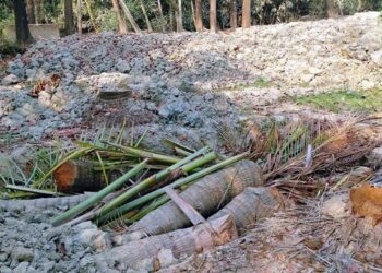 জামায়াত নেতার বিরুদ্ধে প্রবাসীর জমি দখল চেষ্টার অভিযোগ