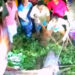 লোকালয়ে ধরা পড়েছে গড়াই নদীর কুমির