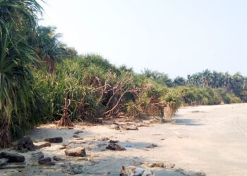 সেন্টমার্টিনে ফিরছে প্রকৃতির আসল রূপ