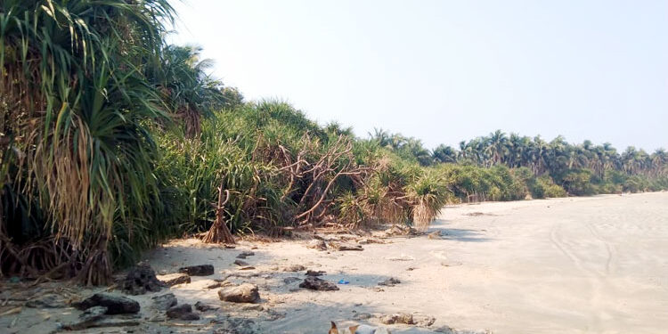 সেন্টমার্টিনে ফিরছে প্রকৃতির আসল রূপ