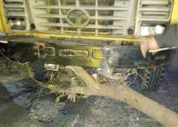 মধ্যরাতে সড়কে গাছ ফেলে গণডাকাতি