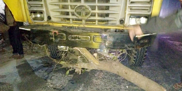 মধ্যরাতে সড়কে গাছ ফেলে গণডাকাতি