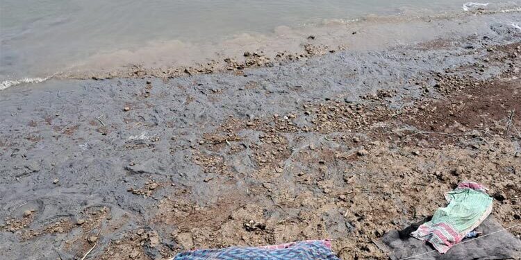 নদীর পাড়ে নারী-শিশুর সেই লাশের পরিচয় মিলেছে