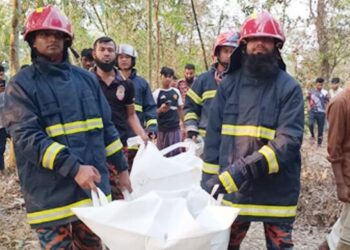 বসতঘরে আগুনে পুড়ে একজন নিহত