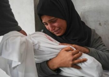 গাজায় ভোরে ইসরাইলি হামলায় নিহত ১৭ ফিলিস্তিনি