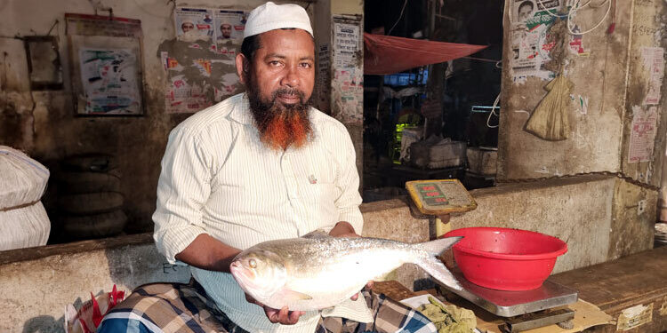 এক ইলিশের ওজন আড়াই কেজি, দাম ১৪ হাজার