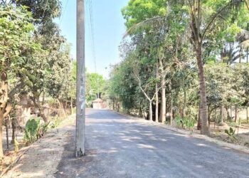 ৬ কিলোমিটার সড়কের ওপর ২২ বৈদ্যুতিক খুঁটি