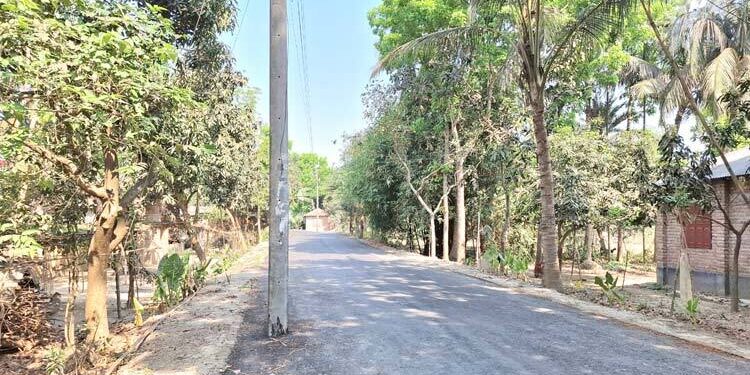 ৬ কিলোমিটার সড়কের ওপর ২২ বৈদ্যুতিক খুঁটি