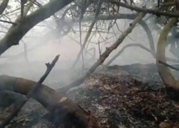 এবার সুন্দরবনের অন্য এলাকায় আগুন