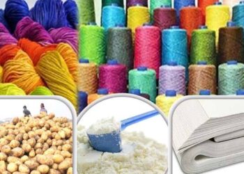 ভারত থেকে যেসব পণ্য আমদানিতে নিষেধাজ্ঞা