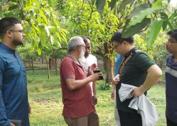 চাঁপাইনবাবগঞ্জ থেকে ১ লাখ ২০ হাজার টন আম কিনবে চীন