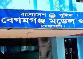 নাগরদোলায় তুলে অন্তঃসত্ত্বা নারীকে ছুরিকাঘাতে হত্যা, স্বামী আটক