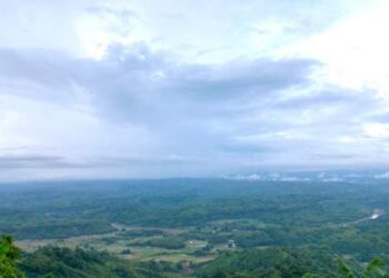 বান্দরবানে ৮ শ্রমিককে অপহরণ