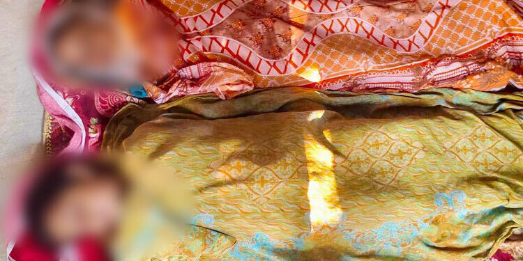 বিদ্যুৎস্পৃষ্টে প্রাণ গেল দুই শিশুর