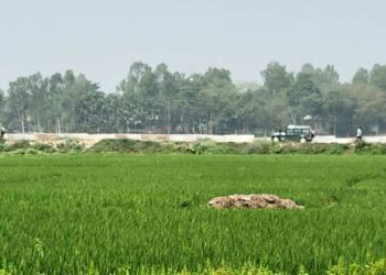 বিএসএফের গুলিতে এবার ভারতীয় চোরাকারবারির মৃত্যু