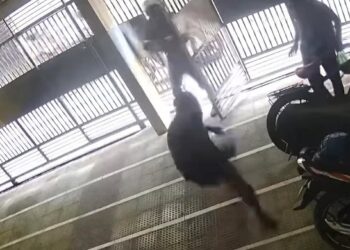 মোহাম্মদপুরে সেই ব্যবসায়ীকে ফের বাড়িতে ঢুকে ফের গুলি