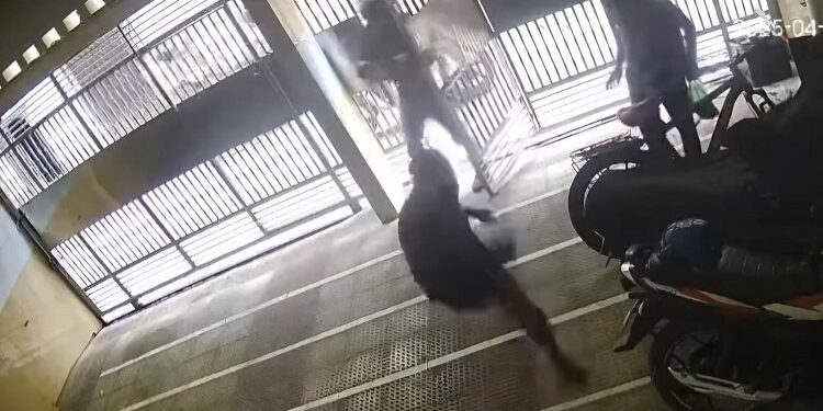 মোহাম্মদপুরে সেই ব্যবসায়ীকে ফের বাড়িতে ঢুকে ফের গুলি