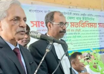 শেখ হাসিনার ষড়যন্ত্র সফল হবে না: নিতাই রায় চৌধুরী