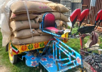 খাদ্যবান্ধব কর্মসূচির চালসহ কৃষক দল নেতা আটক