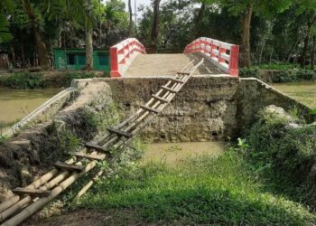 মই দিয়ে সেতু পারাপার