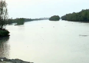 আরাকান আর্মির হাতে আটক তিন জেলে দেশে ফিরলেন