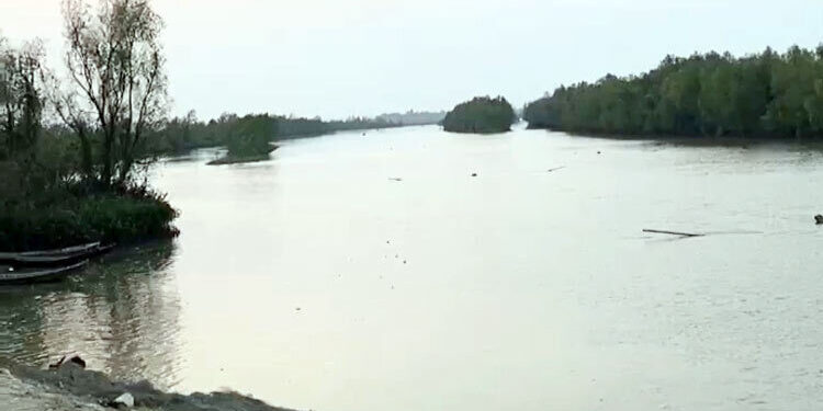 আরাকান আর্মির হাতে আটক তিন জেলে দেশে ফিরলেন