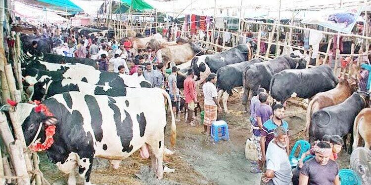 ঈদে গরুর হাটে সান্ধ্যকালীন ব্যাংকিং চালুর নির্দেশ