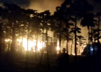 ঝিনাইদহে মধ্যরাতে পুড়ে ছাই তিন কৃষকের পানের বরজ