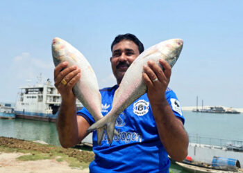 দুই ইলিশের দাম ১০ হাজার ৪০০ টাকায়!