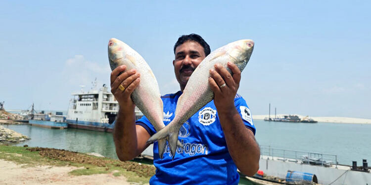 দুই ইলিশের দাম ১০ হাজার ৪০০ টাকায়!