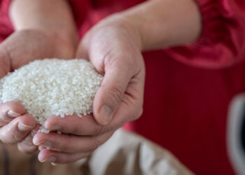 চাল নিয়ে মন্তব্যের জেরে জাপানের কৃষিমন্ত্রীর পদত্যাগ