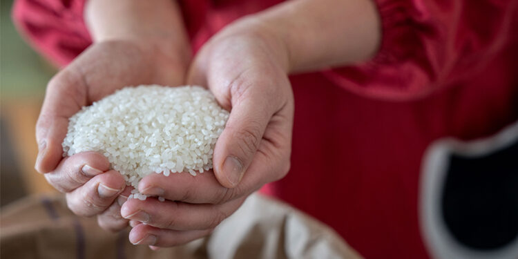 চাল নিয়ে মন্তব্যের জেরে জাপানের কৃষিমন্ত্রীর পদত্যাগ