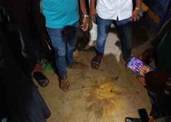 ফ্লাইওভার থেকে যাত্রাবাড়ী পার্কে ককটেল বিস্ফোরণ, আহত ৪