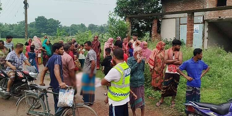 ঝিনাইদহের ট্রাকচাপায় নারী নিহত