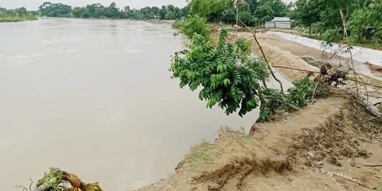 বাড়ছে নদ-নদীর পানি, আতঙ্কে ময়মনসিংহের বাসিন্দারা