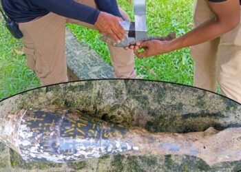 রাজশাহীতে পরিত্যক্ত রকেট লাঞ্চার উদ্ধার