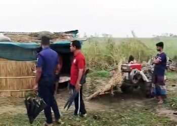 কৃষককে হত্যা করে তিন গরু নিয়ে গেলো ডাকাত দল